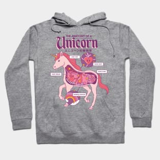 The Anatomy of a Unicorn Hoodie